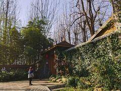 -林间山庄