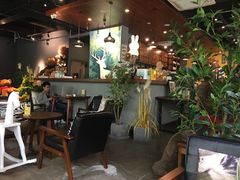 -咖法森林·咖啡  酒吧(天河店)