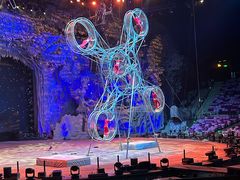 -广州长隆国际大马戏