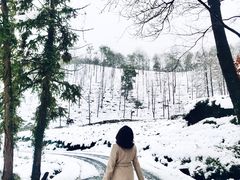 -午潮山国家森林公园