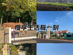 -平湖九龙山旅游度假区