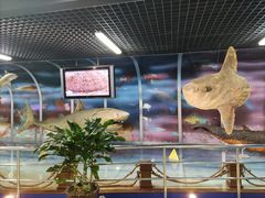 -山东省科技馆(新馆)