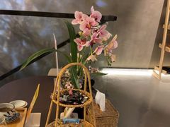 -施奈儿.洗头頭療.按摩SPA.采耳(上梅林店)