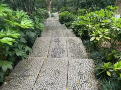 -杭州半山国家森林公园