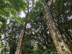 -水濂山森林公园