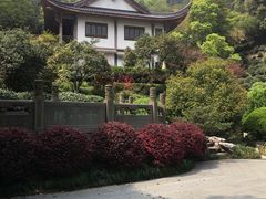 -十八棵（老龙井）御茶园(老龙井店)