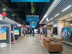 -苏宁易购(Suning Pro南京山西路店)