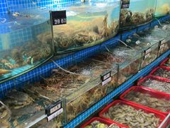 -望海潮海鲜店 特色家常菜(在海一方店)