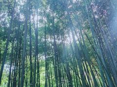 -四门塔风景区