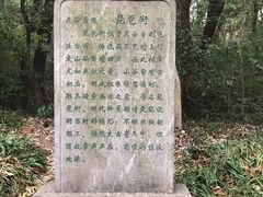 -灵谷景区