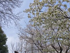 -堤角公园