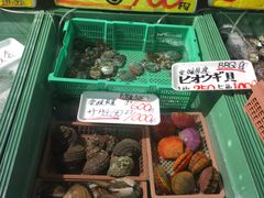 -海鮮寿司とれとれ市場