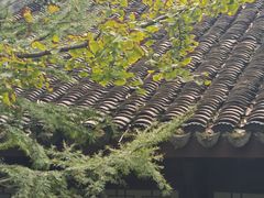 -上海佘山国家森林公园天马山园