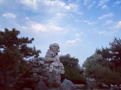 -石家庄市植物园