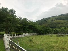 -瑞穗牧场