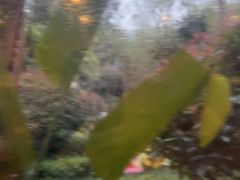 -海兰云天度假区温泉