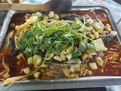 -重庆火锅水库鱼庄(南油店)