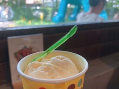 -莓园冰淇淋店