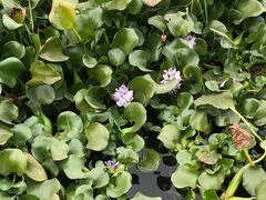 -天目湖御水温泉·度假酒店