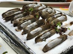 铁板蛏子-宝燕壹号(徐汇店)