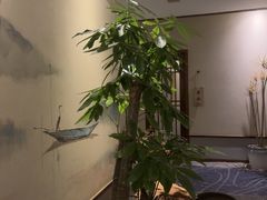 -鼎族怡华·指压·经络·疗愈SPA(紫荆店)