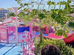 -云里梦想乐园
