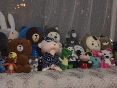 -PAWTOY爪e玩偶店(天兴罗斯福店)