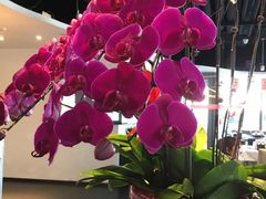 -悦融·京鲁菜·露台花园(安定门店)