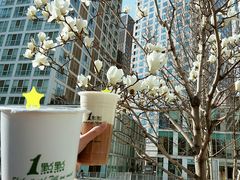 冰淇淋红茶-1点点(银座和谐广场店)