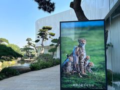 -罗红摄影艺术馆