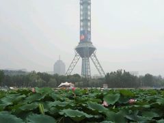 -裕华世纪公园