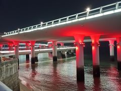 -演武大桥观景平台