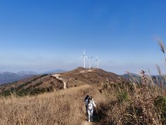 -东白山
