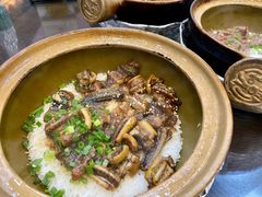 -红星光发煲仔饭(文海店)