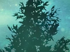 -美足时光•水疗SPA(龙泉店)