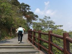 -羚羊峡古栈道森林公园
