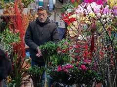 -万商花鸟市场