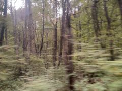 -丹东天桥沟景区