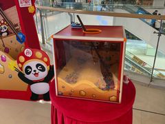 -海底捞火锅(锦艺城店)