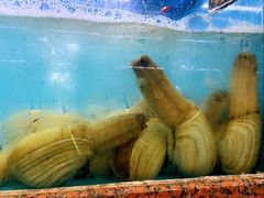 -渔人湾码头海鲜市场负二楼