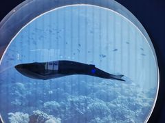 -上海中国航海博物馆