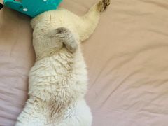 -酷宠动物医院(天通西苑店)