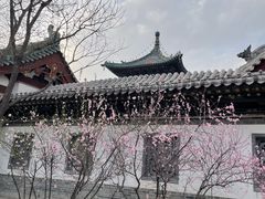 -迎泽公园