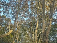 -毛氏汽水包(山海关路店)