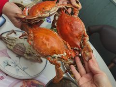 -小海丁