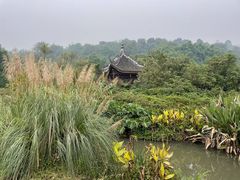 -张坝桂圆林公园