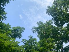 -茯茶镇