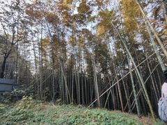 -南北湖风景区