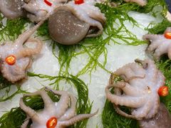 -一斗火锅·招财羊毛肚(北温泉九号店)