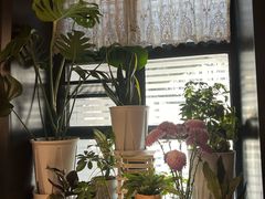 -懒人盐府人家(航天桥店)